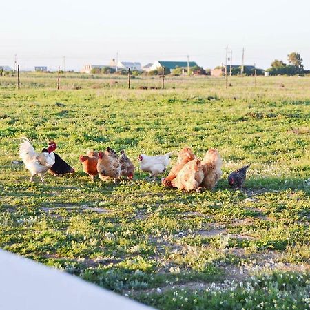 Aintree Farm Cottage Langebaan Exterior foto